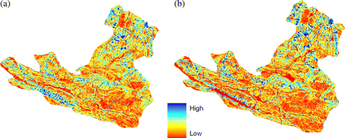 Figure 4.  Slope length and steepness (LS) derived from DEM (a) contour and (b) SRTM.