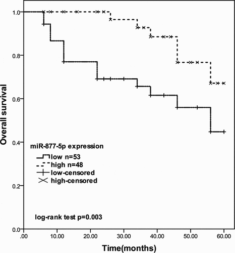Figure 2. The 5-year survival rate of prostate cancer patients with different miR-877-5p expression levels (log-rank test P = 0.003)