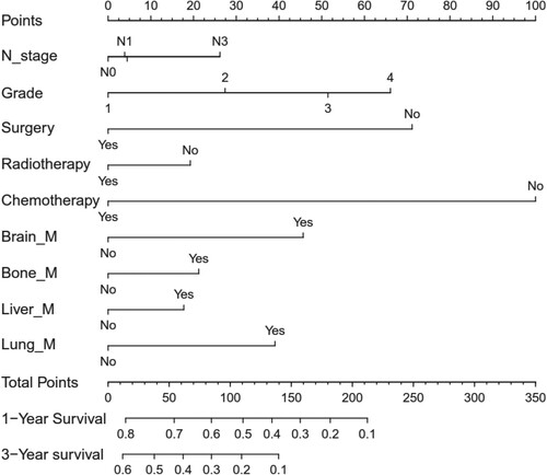 Figure 1. Nomogram for predicting overall survival in patients with metastasis gastric cancer. Notes: All the points assigned on the top point scale for each factor are summed together to generate a total point score. The total point score is projected on the bottom scales to determine the overall survival rate in an individual.