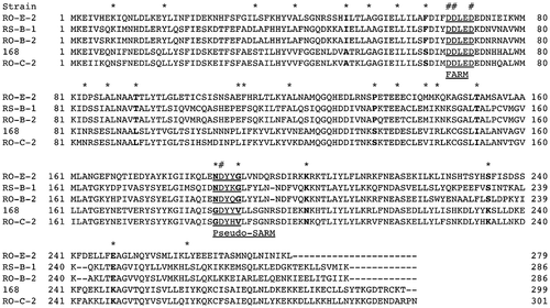 Figure 3. Comparison of amino acid sequences of ComQs derived from three B. subtilis strains (RO-E-2, RS-B-1, and 168) and two B. mojavensis strains (RO-B-2 and RO-C-2).The ComQs from the three strains (RO-E-2, RS-B1, and RO-B-2) are the C10 type and those from the two strains (168 and RO-C-2) are the C15 type. The FARM and pseudo-SARM are underlined, and four Asp residues in these two motifs are indicated by number signs. Twenty-five amino acid residues that are conserved among either C10- or C15-type ComQs are indicated by asterisks, and the positions of 10 amino acid residues, which were substituted in the ComQRO-E-2 point mutants for the in vivo bioassay, are indicated by boldface type. The accession numbers of the ComQs are AAL67739 (RO-E-2), AAF82172 (RS-B-1), AAL67730 (RO-B-2), AIY94493 (168), and AAL67727 (RO-C-2).