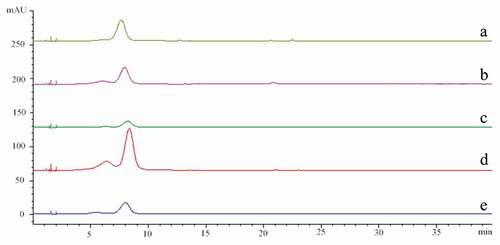 Figure 2. HPLC chromatograms of anthocyanins at 525 nm