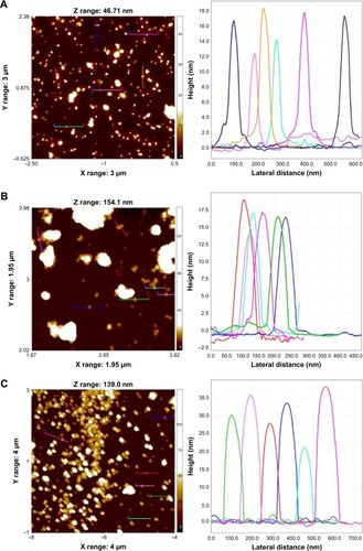 Figure 5 The AFM analysis of nanoparticles which showed the particles average size for F-AuNPs (A) and C-AuNPs (B) is between 12–18 nm and for C-AgNPs (C) is in the range of 20–40 nm.Notes: Each peak represents each single nanoparticle in the spectrum, chosen to measure the size of nanoparticles.Abbreviations: AFM, atomic force microscopy; C-AgNPs, core–silver nanoparticles; C-AuNPs, core–gold nanoparticles; F-AuNPs, fiber–gold nanoparticles.