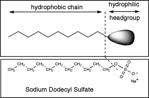 Supplementary Figure 1. SDS chemical structure. Figura 1. Estructura química del SDS