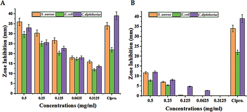 Figure 6. The zone inhibition effect of different concentrations of the green synthesized nanoparticles and the fruit extract on the Staphylococcus aureus, Escherichia coli, and Corynebacterium diphtheriae.