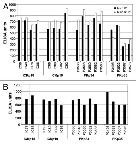 Figure 1. Characterization of human sera for anti-K. pneumoniae antibodies as measured by ELISA. Total anti-K. pneumoniae IgG antibody levels were measured by ELISA (A) total bacterial lysates prepared from K. pneumoniae strain Mich 61 and its respective capsule negative mutant. (B) Total bacterial lysates prepared from K. pneumoniae MGH 78578. The graph represents the ELISA units of 17 sera with the highest antibody titers against K. pneumoniae lysate. Data are expressed as ELISA units calculated from the absorbance at 405 nm at a serum dilution of 1:1,000. Human sera indication: IC, healthy individual; P, patient.