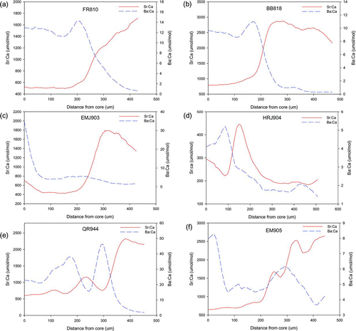 FIGURE 7 Representative Sr:Ca and Ba:Ca transects of (a)–(b) adult fish that migrated directly from their natal sites to the ocean, (c)–(d) age-0 fish that migrated indirectly from their natal sites to the ocean, and (e)–(f) adult fish that migrated indirectly. All transects proceed from the core of the otolith toward the edge. Note that the scales vary for both the y- and x-axes; the transects for the age-0 fish are complete, but those for the adults are abbreviated at the point of migration to saltwater. The data were smoothed for presentational clarity.