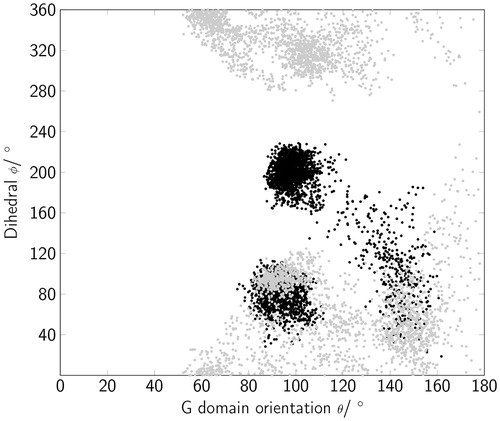 Figure 7. The orientation of Rab5 is described by the internal protein torsion as a function of the G domain orientation with respect to the membrane surface. Black dots correspond to positions of Rab(GDP); Rab(GTP) orientations are shown in gray.