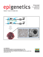 Cover image for Epigenetics, Volume 7, Issue 10, 2012