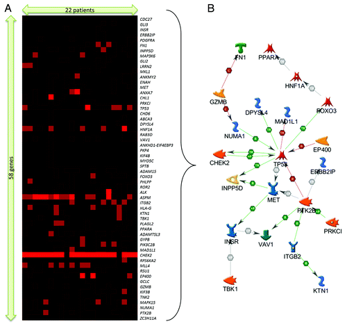 Figure 2. (A) Extracted sub-cluster of mutation matrix belonging to 58 genes and 22 patients, arranged via hierarchical clustering (Kendall–Tau distance, complete linkage). The intensity of the plot corresponds to the number of mutations (inclusive of silent mutations) observed for that gene and patient. (B) Direct interaction gene network of a subset of 21 genes identified from the mutation sub-cluster.