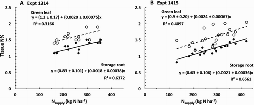 Figure 4. Influence of nitrogen (N) supply on N concentration in green leaves (hollow symbols) and storage roots (solid symbols) of carrots: A, Expt 1314 at 156 days after sowing (DAS); and B, Expt 1145 at 203 DAS.