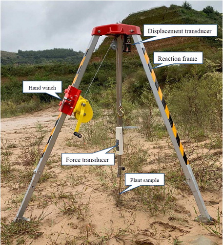 Figure 5. Equipment for field root pull-out test.