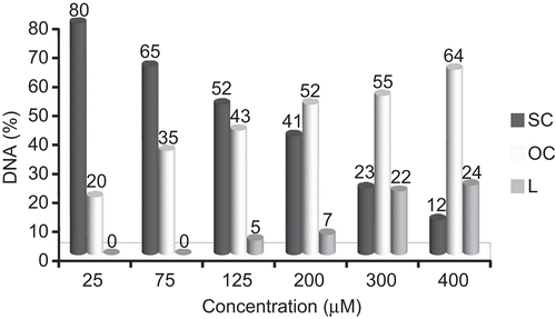 Figure 4.  The percentage of SC, OC and L forms of DNA produced by various concentration of [RuII(4-bptpy)(dmphen)Cl]ClO4 complex.