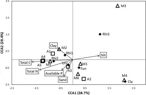Figure 2 Canonical correspondence analysis (CCA) of arbuscular mycorrhizal fungal communities (triangles = the Mediterranean region [M1–M6]; diamonds = the Central Anatolia region [A1–A5]). Abbreviations of arbuscular mycorrhizal fungal clades and soil physical/chemical properties correspond to Fig. 1 and Table 2, respectively.