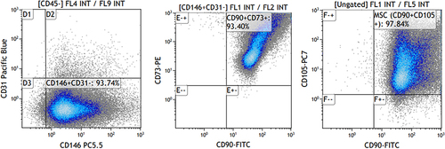 Figure 2 Cytometric evaluation of the presence of CD146, CD195, CD90, CD73 surface antigens on the analyzed MSCs. Navios Cytometer (Beckman Coulter).