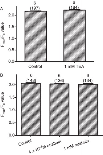 Figure 3. Effect of K+ channel and Na+-K+ ATPase blockers on the DMSO-induced increase in Tl+ transients. (A) Comparison of the effect of DMSO on relative Tl+ fluorescent intensity (Fmax/F0) in the absence and presence of K+ channel blocker TEA. (B) Comparison of the effect of DMSO on relative Tl+ fluorescent intensity (Fmax/F0) in the absence and presence of Na+-K+ ATPase blocker ouabain. This Figure is reproduced in color in the online version of Molecular Membrane Biology.