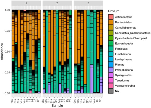 Figure 3. Dynamics of the composition of the intestinal microbiome at the taxonomic level of the type before HSCT (samples 1) and after HSCT (samples 2, 3).
