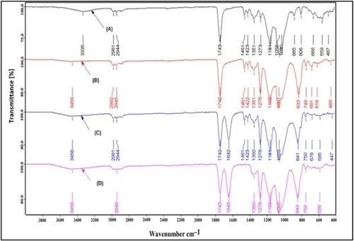 Figure 8. FTIR spectra of (A) Neusilin US2, (B) physical mixture of BD and Neusilin US2, (C) BD, and (D) S-SNEDDS BD14.