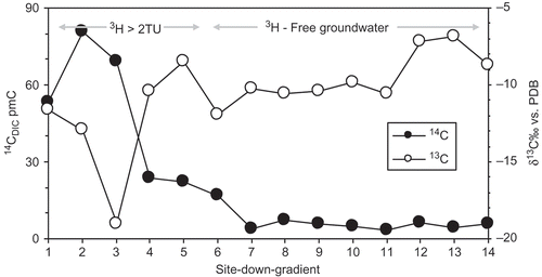 Fig. 8 Evolution of 14C and δ13C values in the groundwater samples from the Upper Cretaceous aquifer in the study area.