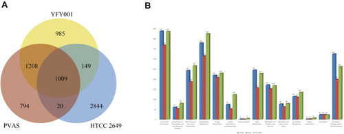 Figure 3 Comparative genomic analysis using Janibacter YFY001, PVAS, and HTCC 2649 genomes. (A) Venn figure of the comparative genomic results. (B) COG analysis of the comparison results.