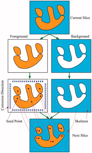 Figure 1. Key flow chart of our framework.