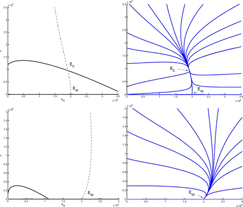 Figure 2. Left column: nullclines of Equation(15a) (Γ S =0, dashed lines) and Equation(15b) (Γ T =0, continuous line), in the case p 2<1, as in section 4.1. Right column: a few corresponding sample solutions. First row: case 1 in Theorem 4.1, where 𝔽 S −𝔽 T <(p 1α5/κ T ) (both Ē W and the coexistence equilibrium Ē C exist, Ē C is globally asymptotically stable). Second row: case 2 in Theorem 4.1, where 𝔽 S −𝔽 T ≥(p 1α5/κ T ) (only Ē W exists, and is globally asymptotically stable).