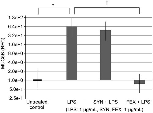 Figure 10. The expression level of MUC5B mRNA expression in human nasal epithelial cells (HNEpCs) with a single stimulant [1 μg/mL lipopolysaccharide (LPS)] for 8 h or co-treatment with HA and synephrine or control drugs [fexofenadine(FEX), Xiao-qing-long-tang (XQLT), L-carbocisteine (LCC), or pranlukast (Pran)] for 8 h. *Statistical significance in the expression levels of MUC5B between non-stimulated (untreated control) and LPS-stimulated cells (P < 0.05). The comparison between a single LPS-stimulant and co-stimulant LPS and FEX with respect to mRNA expression of MUC5B in HNEpCs is indicated by † = 0.05 < P < 0.1. RFC = relative fold change.