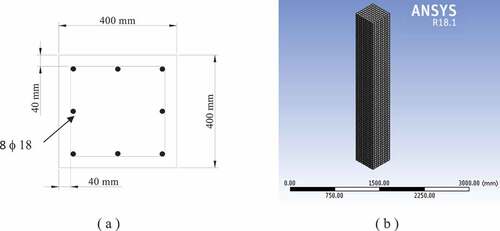 Figure 4. (a) Column section details, (b) FE model.