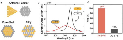 Figure 1. Intermetallic optical and catalytic effects in bimetallic nanostructures. (a) Schematic representations of the three bimetallic geometries in this paper: antenna–reactor, core-shell, and alloyed nanoparticles, with the gold color representing a plasmonic metal and the grey color representing a catalytic metal. (b) Calculated extinction cross section of the sum of a 24 nm × 96 nm Au nanorod and a 2 nm Pd shell (black) versus a Au@Pd core-shell nanorod (red) with the same dimensions. Calculated using the boundary element method with plane wave excitation [Citation119]. (c) The yield of the Suzuki coupling reaction between bromobenzene and m-tolylboronic acid under illumination using either Au@Pd nanorod catalysts (red) or a mixture of Au nanorods and porous Pd nanoparticles (black) with the same metal molarity ratio. (c) Adapted with permission from [Citation24]. Copyright 2013 American Chemical Society.