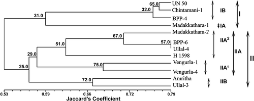 Figure 5. UPGMA tree based on Jaccard’s similarity coefficient revealing clustering of cashew varieties based on RAPD data. Bootstrap values are indicated at the corresponding node for each cluster on dendrogram using Winboot (Yap and Nelson, Citation1996).