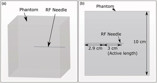 Figure 3. (a) 3D schematic of the geometry showing the phantom cube and RF-needle orientation. (b) Schematic of the top view of the phantom geometry. Cube dimensions and RF-needle dimensions are shown.