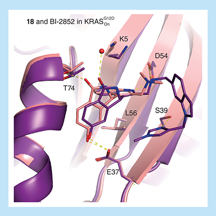 Figure 8. Comparison of 18 and BI-2852 in KRAS.Overlay of active KRASG12D with 18 (6GJ6) and BI-2852 (6GJ8) demonstrating a conserved binding mode except for the lost H-bond of T74 with isoindolinone–oxygen when bound to BI-2852.