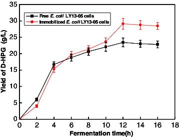 Figure 2. Comparison of D-HPG production from free and immobilized E. coli LY13-05 cells. Note: Error bars represent standard errors of the means; data analyses were done using standard deviation.