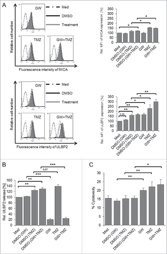 Figure 7. Combination of TMZ and GW treatment synergistically increases expression and shedding of ULBP2 and sensitizes U-87MG cells to Vγ9Vδ2 T cell-mediated killing. (A) U-87MG cells were incubated for 24 h with GW (3 μM), TMZ (200 μg/mL) or a combination of both. Cell surface expression of MICA and ULBP2 was determined by flow cytometry. Representative histograms are depicted in the left-hand panels (dotted histograms: medium control; black open histograms: DMSO solvent control; filled histograms: TMZ/GW treatment). A summary of results of four experiments is shown in the right-hand panels. Median fluorescence intensity (MFI) of MICA (upper right-hand panel) and ULBP2 (lower right-hand panel) expression was set to 100% in the medium-only treated cells. (B) ULBP2 shedding from GW and TMZ-treated U-87MG cells. U-87MG cells were pre-treated as in (A), and the concentration of sULBP2 was determined by ELISA in supernatants of medium-, DMSO solvent control-, GW-, TMZ- and GW/TMZ-treated samples. The amount of sULBP2 in medium control sample was set to 100%. (C) Combined treatment with GW and TMZ sensitizes U-87MG cells to Vγ9Vδ2 T cell-mediated killing. Medium-, DMSO-, GW-, TMZ- and GW/TMZ-treated U-87MG cells were labeled with Calcein AM and co-cultured in triplicates for 4 h with γδ T cells at an E/T ratio of 20:1 in the absence of BrHPP. Data are presented as mean values of five independent experiments +/− SEM. Statistical significance is displayed as*** for p < 0.001, ** for p < 0.01 and * for p < 0.05.