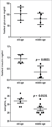 Figure 2. Comparison of weight and metabolic parameters in old (28 months old) and middle aged (10 months old) female mice of C57BL/6NCr strain. Blood was collected after overnight fasting and concentrations of insulin and triglycerides were determined in blood sera using, using Insulin (Mouse) Ultrasensitive ELISA kit (Alpco Diagnostics, Salem, NH) and Triglyceride Colorimetric Assay kit (Cayman Chemical Company, Ann Arbor, MI), respectively. Glucose was measured directly in blood using Accu-Chek Aviva strips (MaKesson, Atlanta, GA). Data presented as mean ± SE.