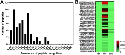 Figure 5. Variability in epitope recognition profiles. (A) The prevalence of samples from T. cruzi -infected individuals (including both positive and discordant positive individuals) that recognized each peptide was calculated. Ten peptides were recognized by a single individual (0.05% of infected), and only one peptide was recognized by 62% of infected individuals. (B) Recognition profile of previously identified “universal” epitopes that were included in the peptide microarray. The heatmap shows the binding profile to the indicated epitopes. Binding intensity was colour-coded according to the indicated scales (Low binding: green; high binding: red).