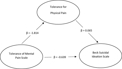 Figure 2 Mediating effect of the tolerance for physical pain between TMPS scores and BSIS scores in the MDD group.