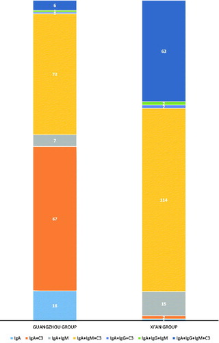 Figure. 3. The ratio of immune fluorescence components in two groups. The percentage of immune complex depositions in the mesangial area and capillary wall is shown. The number of the patients with the immune complex deposition was also shown.