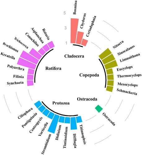 Figure 2. Diagram of zooplankton species composition in Ulungur Lake.