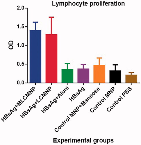 Figure 11. Results of lymphocyte proliferation. Experimental mice were immunized with MLCMNP-HBsAg, LCMNP-HBsAg, commercial vaccine, HBs Ag alone and control mice were injected with MNP, MNP + mannose and PBS. Two weeks after last immunization, lymphocyte proliferation was assessed with BrdU method as mentioned in the method section. The results presented as mean ± SD of 10 mice per group. Immunization with MLCMNP-HBsAg and LCMNP-HBsAg significantly increased lymphocyte proliferation versus commercial vaccine, HBs Ag alone and control groups.