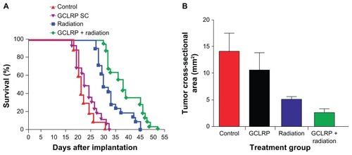 Figure 2 (A) The combination of GCLRP and external radiation increased survival when compared to the radiation-only group (mean survival: galactose/N-acetylgalactosamine-specific C-type lectin receptor + radiation = 38 days; radiation-only = 30; P = 0.001; control-sham animals = 21 days). (B) The survival rate corresponded with the magnetic resonance imaging data that showed a decrease in the tumor cross-sectional area (mean cross-sectional area: galactose/N-acetylgalactosamine-specific C-type lectin receptor + radiation = 2.498 mm2; P = 0.02 radiation-only = 5.126 mm2; P = 0.02 [compared to Control and GCLRP]).Abbreviations: GCLRP, peptide mimetic of the ligand of the galactose/N-acetylgalactosamine specific C-type lectin receptor; SC, subcutaneous.