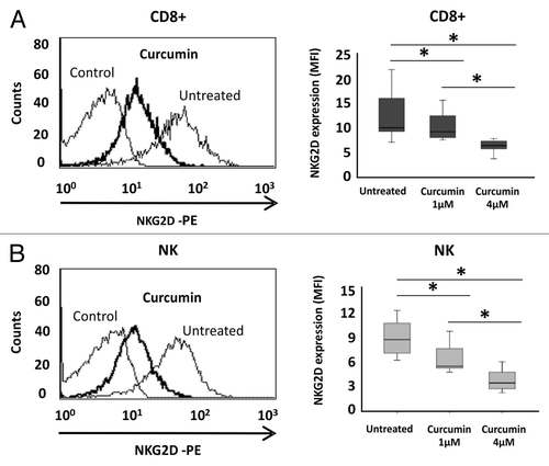 Figure 5. Downregulation of NKG2D expression in CD8+ T lymphocytes and NK cells after curcumin treatment. NKG2D expression on the cell surface of CD8+ T cells (A) and NK cells (B) was assayed before and after treatment with curcumin (1–4 μM) for 24 h by flow cytometry. Left-hand panels show a representative histogram after treatment with 4 μM curcumin for 24 h; on the right, box-plots indicate NKG2D expression in CD8+ T lymphocytes and NK cells from ten healthy donors before and after curcumin treatment (1–4 μM). Data are expressed as the Mean Fluorescence Intensity (MFI) of NKG2D expression. *p < 0.05.