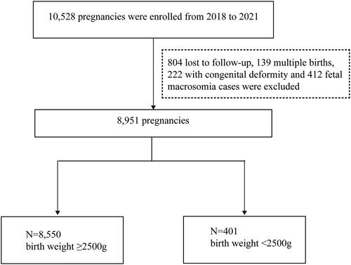 Figure 1. Study profile. After pregnancies with loss follow up, multiple births, congenital deformity and foetal macrosomia cases were excluded, a total of 8951 pregnancies with single-term births were analysed in the present study.