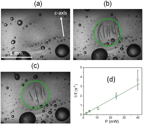 Figure 4. (Colour online) Droplets of LC material (DIO) on the X-cut LN:Fe crystal at 110°C: (a) before illumination, (b, c) tendril-like structures formed during illumination. The green circles in (b) and (c) indicate the illuminated area. (d) Inverse response time of the process as a function of laser power.