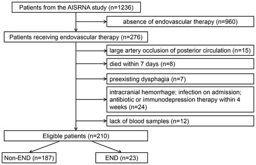 Figure 1 Flowchart of the study patients to illustrate study screening, recruitment, and follow-up.