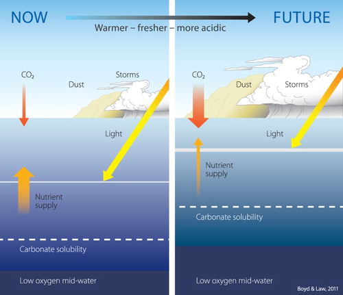 Figure 1. Conceptual figure of the projected changes in upper ocean properties in response to climate change (reproduced from Boyd and Law Citation2011). The magnitude of future change is projected for some of these factors whereas others, such as dust and storm events, are not considered in this paper.