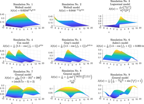Figure 3. Graphs and formulas of conditional hazard functions in simulation study.