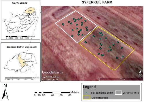 Figure 1. A map showing the location of the study area (Syferkuil Farm) in Limpopo Province, Mankweng Township.