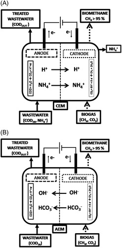 Figure 3. Microbial Electrolysis Cell (MEC) aimed at wastewater oxidation and biogas upgrading equipped with a cation exchange membrane (A) and anion exchange membrane (B).