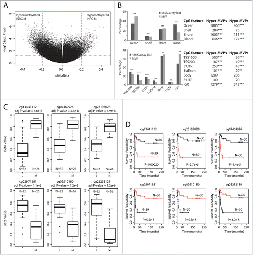 Figure 2. INRG methylated variable positions. (A) Volcano plot showing the distribution between adjusted P-values and difference in β value (deltaBeta) from the ChAMP analysis of the 450K data of INRG M (n=26) and L (n=32) samples. Lines represent used cut-off values to identify the most hyper- and hypomethylated sites in INRG M (n=4557). (B) Distribution of hyper- and hypomethylated loci (MVP; methylated variable position) across CpG features (top) and gene regions (bottom). (C) The 3 INRG M hyper and hypo MVPs with smallest P-values. (D) Kaplan–Meier plots showing survival probability for subjects with above median methylation (red line; n=30), and below median methylation (black line; n=30) for the 3 INRG hyper, and hypo MVPs with lowest P-values. P-value of log-rank test is shown in each plot.