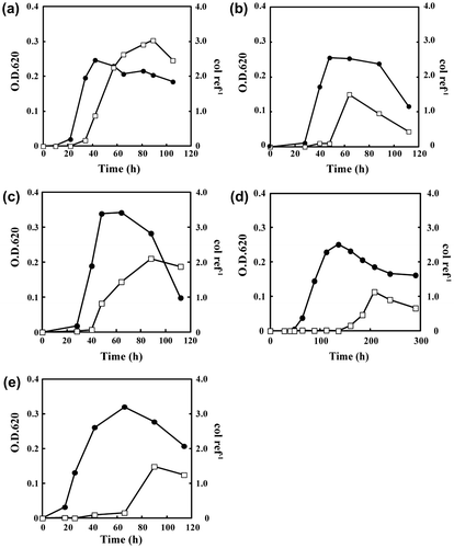 Fig. 5. The growth curves and the transcription levels of the fpcol gene.